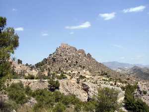 Vista General del Castillo [Castillo de Cieza]