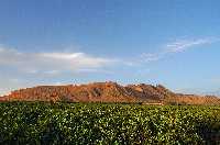 Cabezo Gordo de Torre Pacheco