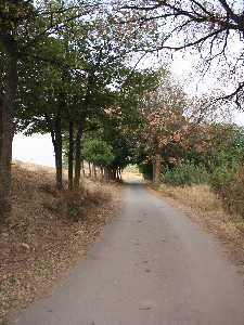 Olmeda de La Fuente del Pino