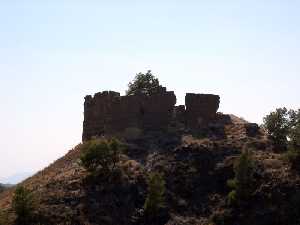 Vista General [Castillo de Santa Catalina del Monte o Verdolay] 