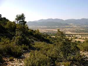 Vistas del Lugar [Conjunto de Arte Rupestre de El Salinar]