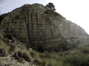 Pared de una de las Canteras[Cantera de Solana de la Pedrera Jumilla]