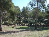 Parque de Los Polvorines en Monteagudo 