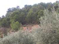 Sierra Espua y El Berro