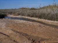 Ecosistema Playa de la Hita 