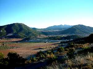 Vista de los alrededores de Bullas