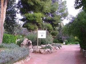 Senderos del Jardn Botnico [La Estacada_Jumilla]