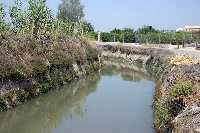 Huerta de la Acequia de la Aljufa 