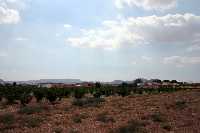 Vista panormica de La Alquera