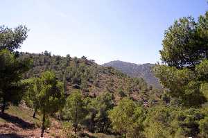 Sierra de La Pila [La Garapacha]