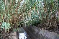 Acequia