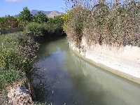 Acequia a su paso por los huertos (La Algaida)