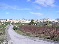 Vista panormica de La Algaida