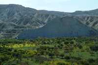 Naturaleza de Campos del Ro