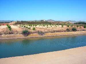 Canal del trasvase Tajo-Segura en Miranda (Cartagena) 