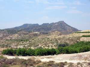 Vista de la Sierra Altaona