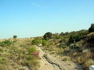 Rambla de la Murta[Carrascoy]