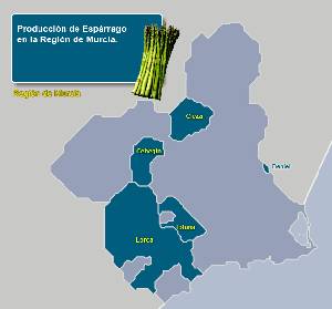 Municipios productores  