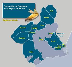 Municipios productores 