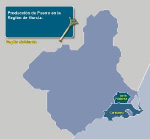 Municipios productores [Puerro]