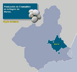 Municipios productores 