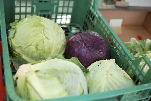 Lombarda en el mercado 