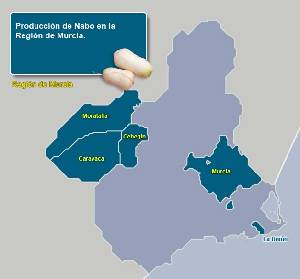 Municipios productores 