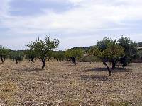 Almendros