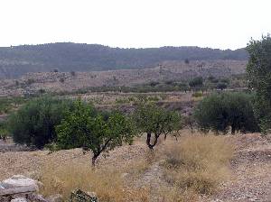 Campo de Abajo 