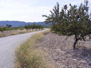 Carretera 