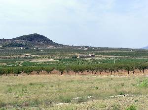 Llanos 