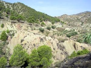 Cabezo de Patras 