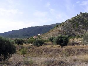 Estribaciones de Sierra del Oro 