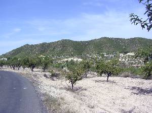 Loma de Cuesta Egea 