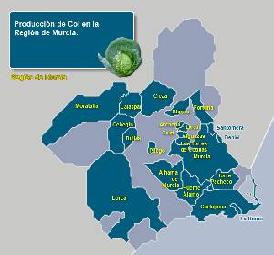 Municipios productores 