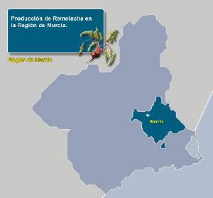 Municipios productores 