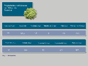 Informacin nutricional [Escarola]