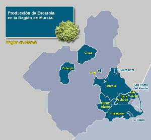 Municipios productores 