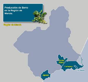 Municipios productores 