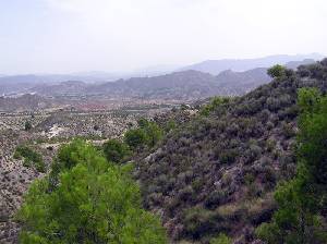 Barrancos 