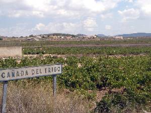 Vista del Pueblo