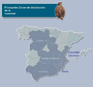 Zonas con mayor densidad de poblacin 