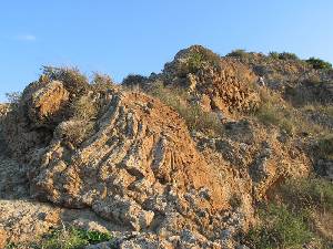 Foto 5: Detalle de la disyuncin columnar de las andesitas del Carmol