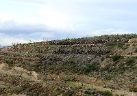 Foto 5: Colada de piroclastos localizada en la falda del Cabezo Negro de Pern (sierra de la Muela, Cartagena)