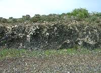 Foto 6: Detalle de la colada de piroclastos del Cabezo Negro de Pern (Cartagena)