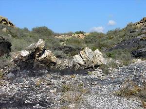 Nivel de cuarcitas que resalta entre los esquistos, al ser muy resistente a la erosin. Loma de Percheles (Mazarrn)