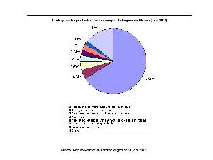 Rnking de productos importados por la Regin de Murcia. Fuente: Plan de Promocin Exterior de la Regin de Murcia 2007