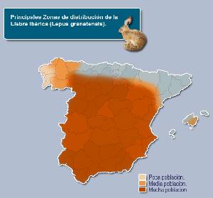 Distribucin de la liebre en la Pennsula Ibrica 