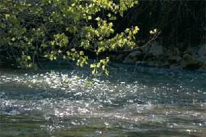 El agua, fuente de vida