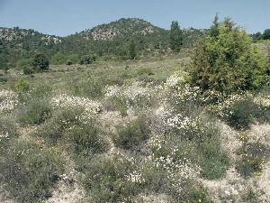 Aspecto primaveral en las tierras del noroeste